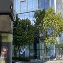 서초그랑자이 동문 앞 횡단보도 | 강남역 중식 맛집 몽중헌 강남점 - 모임장소로 딱이다