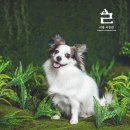 리을사진관 이미지