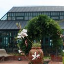 외도널서리 이미지