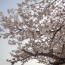 주식회사 더한농 이미지