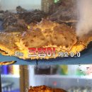 강남회집 이미지