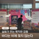 실화라서 더 먹먹했다 연극 바다는 비에 젖지 않는다 관람 후기