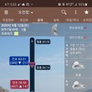 비바호