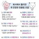 틀니면 민망한 마춤법 모음 이미지