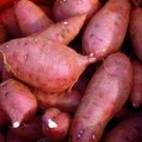 박동호농장 이미지