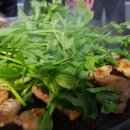 언양비닐 이미지