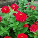 식물원사거리 이미지