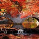 Stone bridge in Autumn 이미지