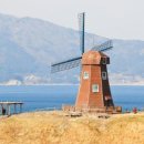 바람의언덕 이미지