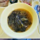 구내식당 점심메뉴 9탄｜매콤제육볶음·아욱국·만두튀김·숙주나물 후기