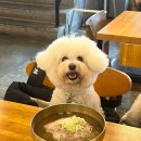 시은소교회 | 수원 광교카페거리 돼지곰탕, 고기국수 맛집 '제주국담'