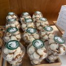 손커피연구소 왕송호수점 | 경기도 의왕 손커피연구소 왕송호수점 왕송호수 베이커리카페 루프탑 넓은공간 내돈내산