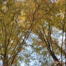 한국폴리텍 V 대학 익산캠퍼스 이미지