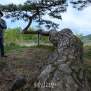 삼산 소공원 이미지