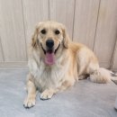 뷰티 몽 이미지