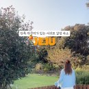 제주 삼달가옥 감성숙소 이미지