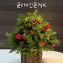 [동탄꽃집] 플리마인플레르 | 크리스마스 미니트리 원데이클래스 추천