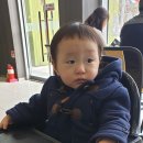 지율목장 이미지