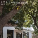 Dr.DOG 동물의료센터 | 고양 정발산동 동물병원 동물의료센터Dr.DOG 진료시간 접근성 이용후기