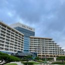 소노벨, 소노문 델피노 이미지