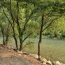 내리계곡펜션 이미지