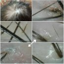 머리염색전문샵 이미지