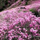 천주산 등산로 입구 이미지
