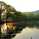 남산반곡지 이미지