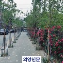 흥선동주민센터(행정복지센터) 이미지