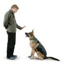 우리집 똥강아지 이미지