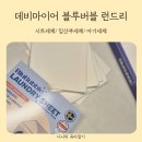 세탁반장 | 아기세제 시트세제로 간편하게 사용하는 데비마이어 블루버블 런드리