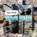 버들PC | [원주 만화카페] 고양이가 있는 망스의 북다방 / 무실동 놀거리 데이트 추천