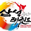 용인대삼성태권도장 이미지