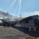 동처농장 이미지