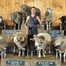 종일목장 이미지