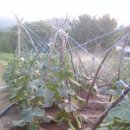 한아농장 이미지