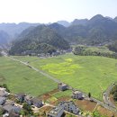 (주)파차이 이미지