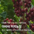 대전화정초교 | [대전]교사연수 커피 드립백, 화정초등학교 진행했어요!