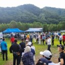 파크골프기초튼튼반 이미지