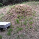 율곡천 1 이미지