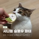 주식회사 미소 | 우리 고양이를 위한 맞춤 고양이캔 시니멀® 슬로우 파테 솔직후기