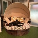 헬로민박 이미지