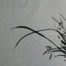 성공을 담다 | 古典에 테니스를 담다