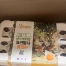 감동푸드 | 감동의 쓰나미! 올바른푸드 난각번호1번 유정란 후기