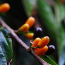 세화초등학교 이미지