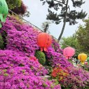 인천 흥륜사 후기 | 송도 근처 조용한 힐링 사찰 데이트 (연꽃초 체험)
