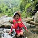 [경남캠핑] 시원한 계곡이 있는 하동 라곰캠핑힐 / 별곰 캠핑힐 글램핑,캠핑장