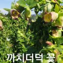 까치수퍼 - 북구 오봉로1길 31 | 까치수퍼