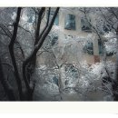 용구대로 이미지