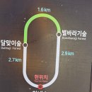 자작나무숲정상 | 인제 원대리 자작나무숲 겨울 트레킹 추천 주차 소요시간 난이도